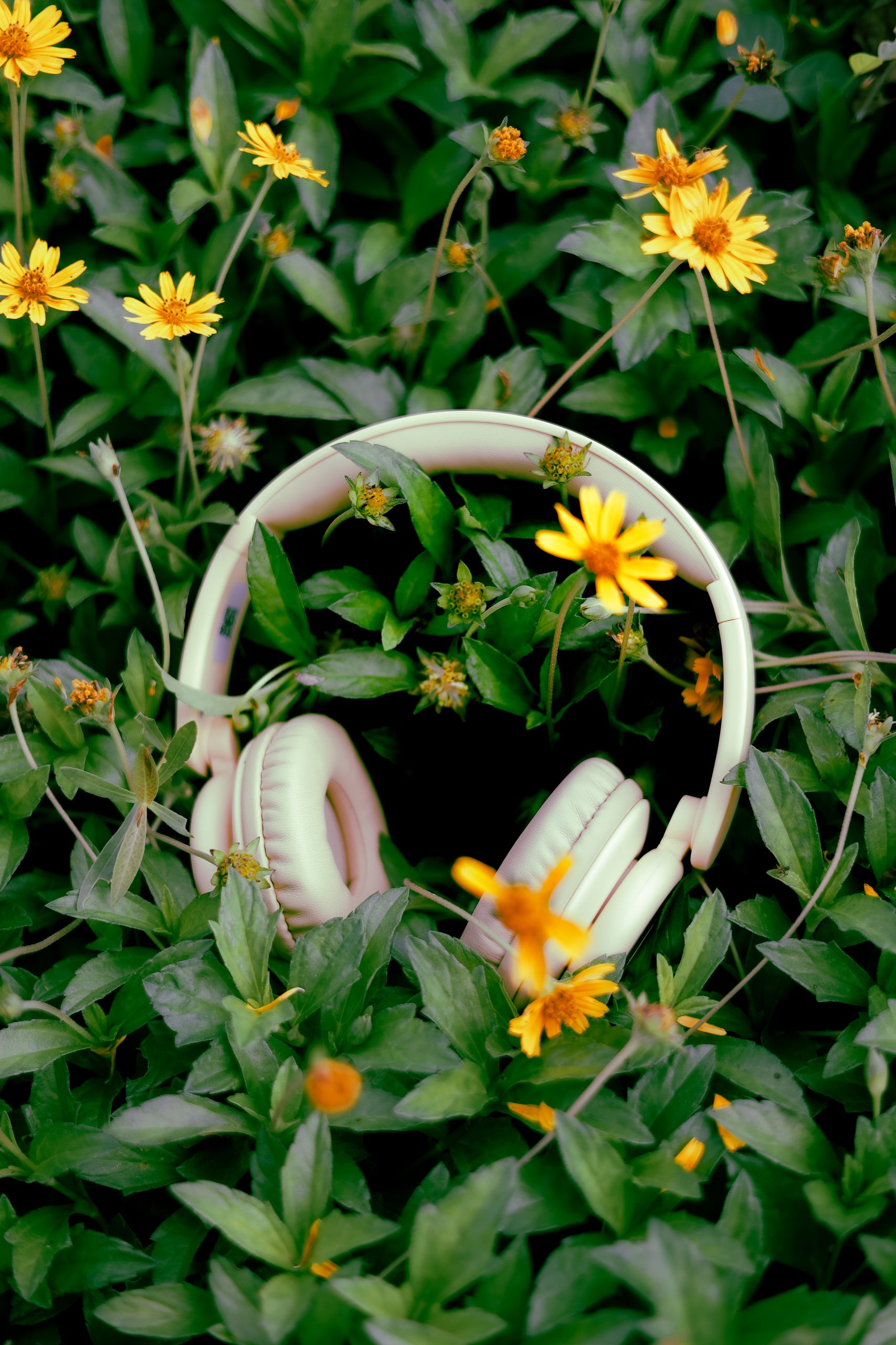 Free Community Sound Bath